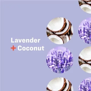 Everyone Liquid Hand Soap Lavender Coconut 12.75oz Pack