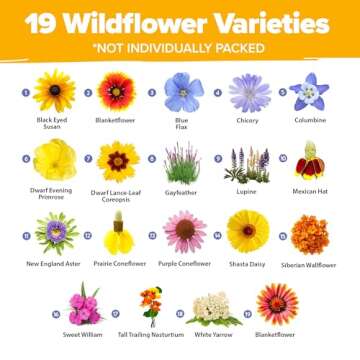 HOME GROWN 120,000+ Wildflower Seeds Bulk: (4oz) Perennial Wild Flower Seeds for Planting - Butterfl...
