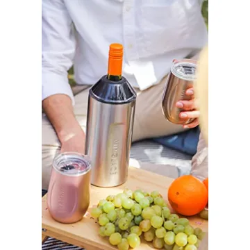 Vinglacé Wine Glass with Glass Insert and Sip Lid