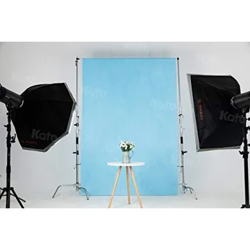 Kate 8ft×10ft Light Blue Backdrop for Studio Photography