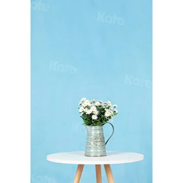 Kate 8ft×10ft Light Blue Backdrop for Studio Photography