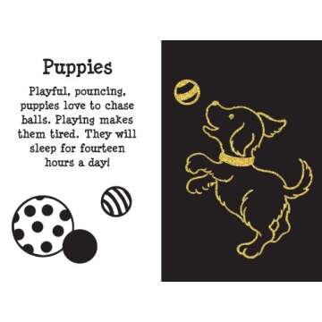 Scratch and Sketch Furry Friends: An Art Activity Book for Animal Lovers and Artists of All Ages (Sc...