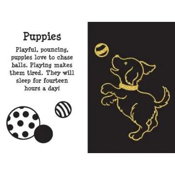 Scratch and Sketch Furry Friends: An Art Activity Book for Animal Lovers and Artists of All Ages (Sc...