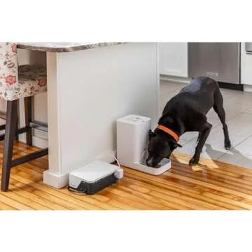 APC UPS Battery Backup & Surge Protector, 500VA UPS with 4 Backup Battery Outlets, Type C USB Charging, BE500G3 Back-UPS