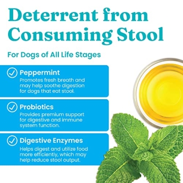 Solid Gold Stop Eating Poop for Dogs with Coprophagia; Natural, Holistic Grain-Free Supplement Chews and Powder with Peppermint & Parsley Oil