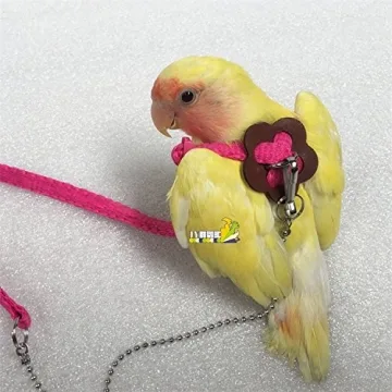 Hypeety Adjustable Bird Harness for Parrots and Cockatiels
