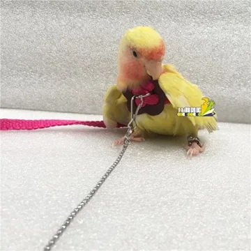 Hypeety Adjustable Bird Harness for Parrots and Cockatiels