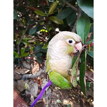 Hypeety Adjustable Bird Harness for Parrots and Cockatiels