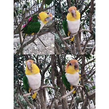 Hypeety Adjustable Bird Harness for Parrots and Cockatiels