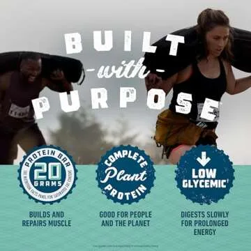 CLIF Builders - Chocolate Mint Flavor - Plant Based Protein Bars - Gluten Free - Non-GMO - Low Glycemic - 20g Protein - 2.4 oz. (12 Pack)