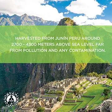 Zen Spirit Maca Root Powder Organic - Peruvian Root Premium Grade Superfood (Raw) - USDA & Vegan Certified - 1 Bag (8oz) - Perfect for Breakfast, Smoothies, Baking & Ice Cream.