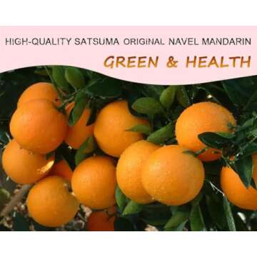 Dried Orange Slices - Sugar-Free Natural Fruit for Cocktails