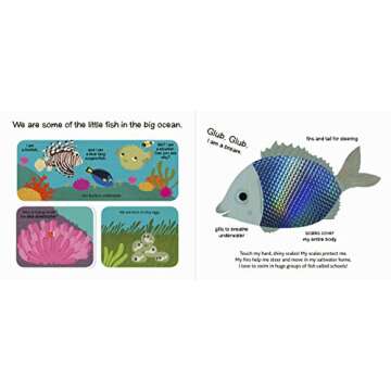 The Ocean (Touch and Explore) (Touch and Explore, 1)