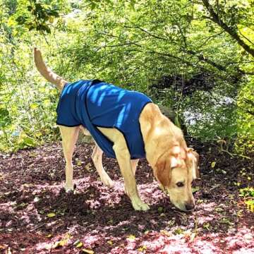 DOGZSTUFF Dog Cooling Vest - Lightweight Evaporative Cool Jacket