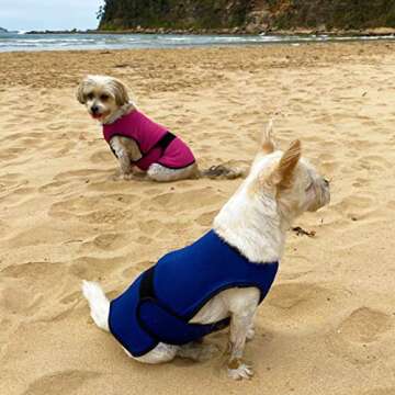 DOGZSTUFF Dog Cooling Vest for All Dogs Under Sun