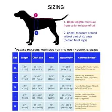 DOGZSTUFF Dog Cooling Vest for All Dogs Under Sun