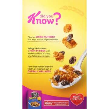 Kellogg's Raisin Bran Original Cereal Family Size 22.1oz