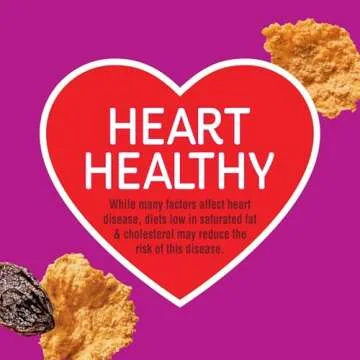 Kellogg's Raisin Bran Original Cereal Family Size 22.1oz