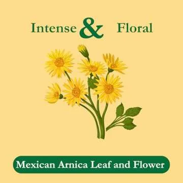 Tadin Mexican Arnica Tea - Herbal Wellness in Every Cup