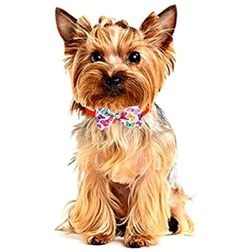Stylish JpGdn Pet Bowties for Dogs and Cats - 12pc Set