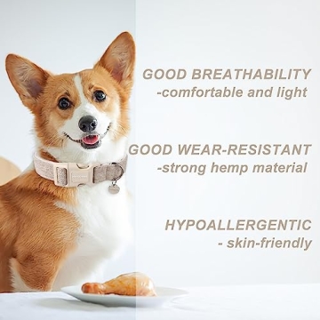 DOGWONG Cotton Hemp Dog Collar Durable Adjustable Eco-Friendly Comfort