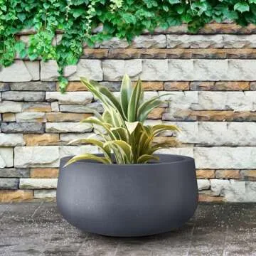 Kante Stylish 15.7" Concrete Planter with Drainage