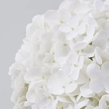 Dolicer Real Touch Hydrangea Flowers for Weddings & Decor
