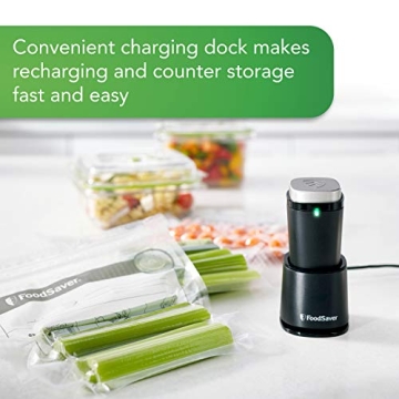 FoodSaver Handheld Vacuum Sealer Compact and Efficient