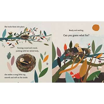 Bird Builds a Nest: A First Science Storybook (Science Storybooks)