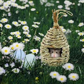 Gute Hummingbird Houses for Outside Hanging, Natural Grass Hanging Bird Hut, Hand Woven Hummingbird Nest, Large Wren Finch Bird House for Garden Window Outdoor Home Decoration, 2 Pack