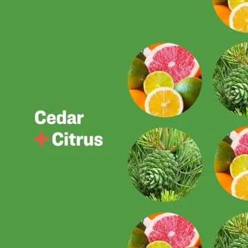 Everyone 3-in-1 Soap, Body Wash, Bubble Bath, Shampoo, 32 Ounce (Pack of 1), Cedar and Citrus, Coconut Cleanser with Organic Plant Extracts and Pure Essential Oils