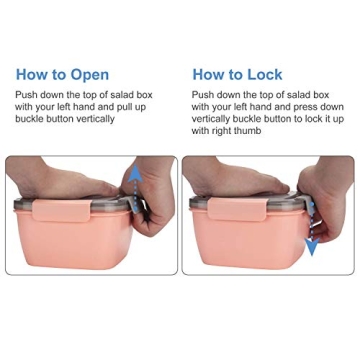 Freshmage Salad Container 2 Packs with 3 Compartments