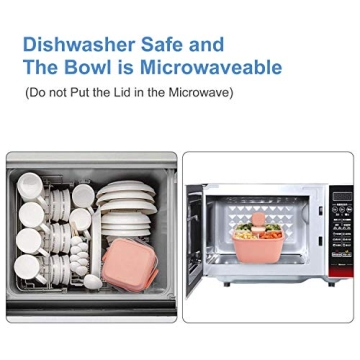 Freshmage Salad Container 2 Packs with 3 Compartments