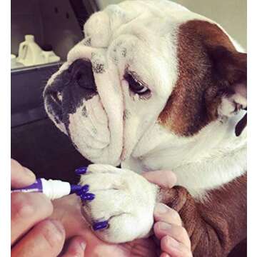 Warren London Pawdicure Dog Nail Polish Pens | Made in USA | Quick Dry, Low Odor, Non-Toxic Dog Accessories | Ideal for Dog Birthday, Dog Costume | 13 Colors | Pink Purp Red