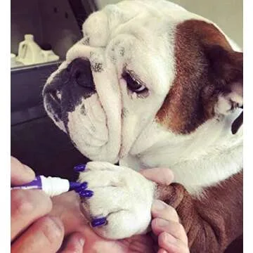 Warren London Pawdicure Dog Nail Polish Pens | Made in USA | Quick Dry, Low Odor, Non-Toxic Dog Accessories | Ideal for Dog Birthday, Dog Costume | 13 Colors | Pink Purp Red