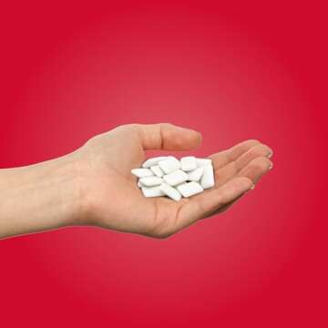 PUR Gum | Aspartame Free Chewing Gum | 100% Xylitol | Natural Cinnamon Flavor, 55 Pieces