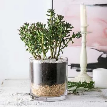 WHOLE HOUSEWARES | 5"X5" Glass Cylinder Vase | Candle Holder | Decorative Centerpiece Arrangement for Wedding Party Event Home Office Decor | Set of 4