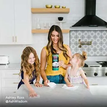 Weiman Stainless Steel and Granite Wipes - 30 Count Each