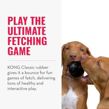 KONG Extreme Ball with Hole - Dog Fetch Toy - Durable Dog Ball Toy for Training, Interactive Playtim...
