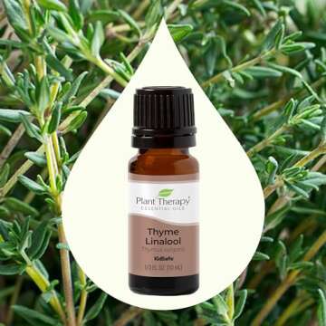 Plant Therapy Thyme Linalool Essential Oil 10 mL (1/3 oz) 100% Pure, Undiluted, Therapeutic Grade