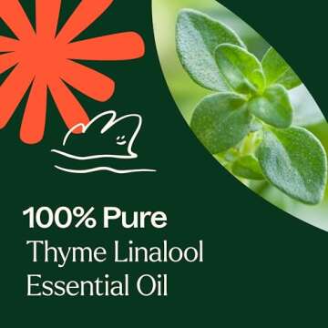 Plant Therapy Thyme Linalool Essential Oil 10 mL (1/3 oz) 100% Pure, Undiluted, Therapeutic Grade