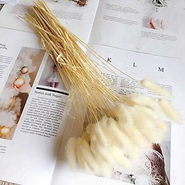JULAN 50PCS Home Decoration Lagurus Ovatus Rabbit Tail Dried Flowers, Real Flower, Eternal Flower Dried Grass Flower Bouquet Photo Props Home Party and Wedding