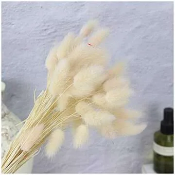 JULAN 50PCS Home Decoration Lagurus Ovatus Rabbit Tail Dried Flowers, Real Flower, Eternal Flower Dried Grass Flower Bouquet Photo Props Home Party and Wedding