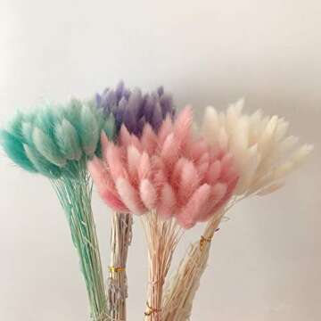 JULAN 50PCS Home Decoration Lagurus Ovatus Rabbit Tail Dried Flowers, Real Flower, Eternal Flower Dried Grass Flower Bouquet Photo Props Home Party and Wedding