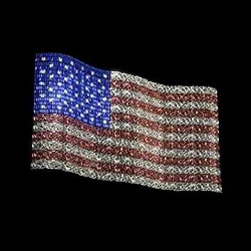 America Has a Problem: Exploring Key Issues Facing the Nation