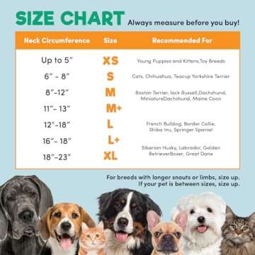 Comfortable Inflatable Recovery Collar for Dogs and Cats