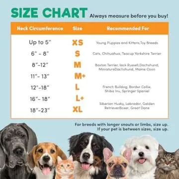 Comfortable Inflatable Recovery Collar for Dogs and Cats