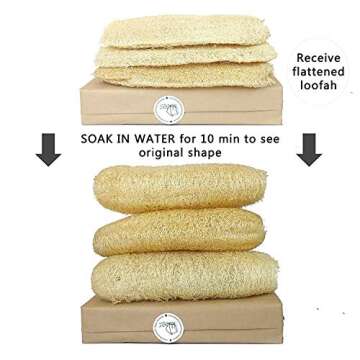Miw Piw Natural Whole Loofah 3 PCS Exfoliating Body Scrubber Dead Skin Remover Bath Sponge Shower Zero Waste