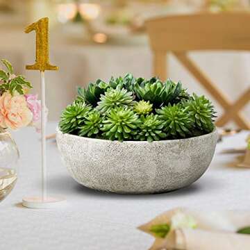 Serene Spaces Living Echeveria Succulent Mix in Bowl, Perfect for Weddings and Home Décor, Real Looking Succulent for Decoration, Measures 10in Diameter x 7in High, Sold Individually