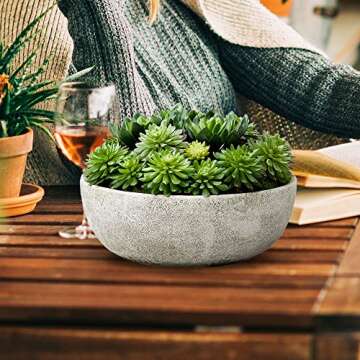 Serene Spaces Living Echeveria Succulent Mix in Bowl, Perfect for Weddings and Home Décor, Real Looking Succulent for Decoration, Measures 10in Diameter x 7in High, Sold Individually